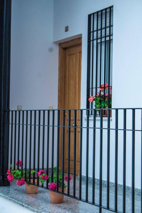 Apartamento Fernando Colon En Casco Historico 科爾多瓦 外观 照片